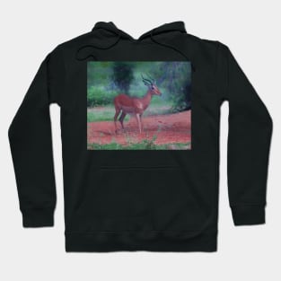 Impala Hoodie